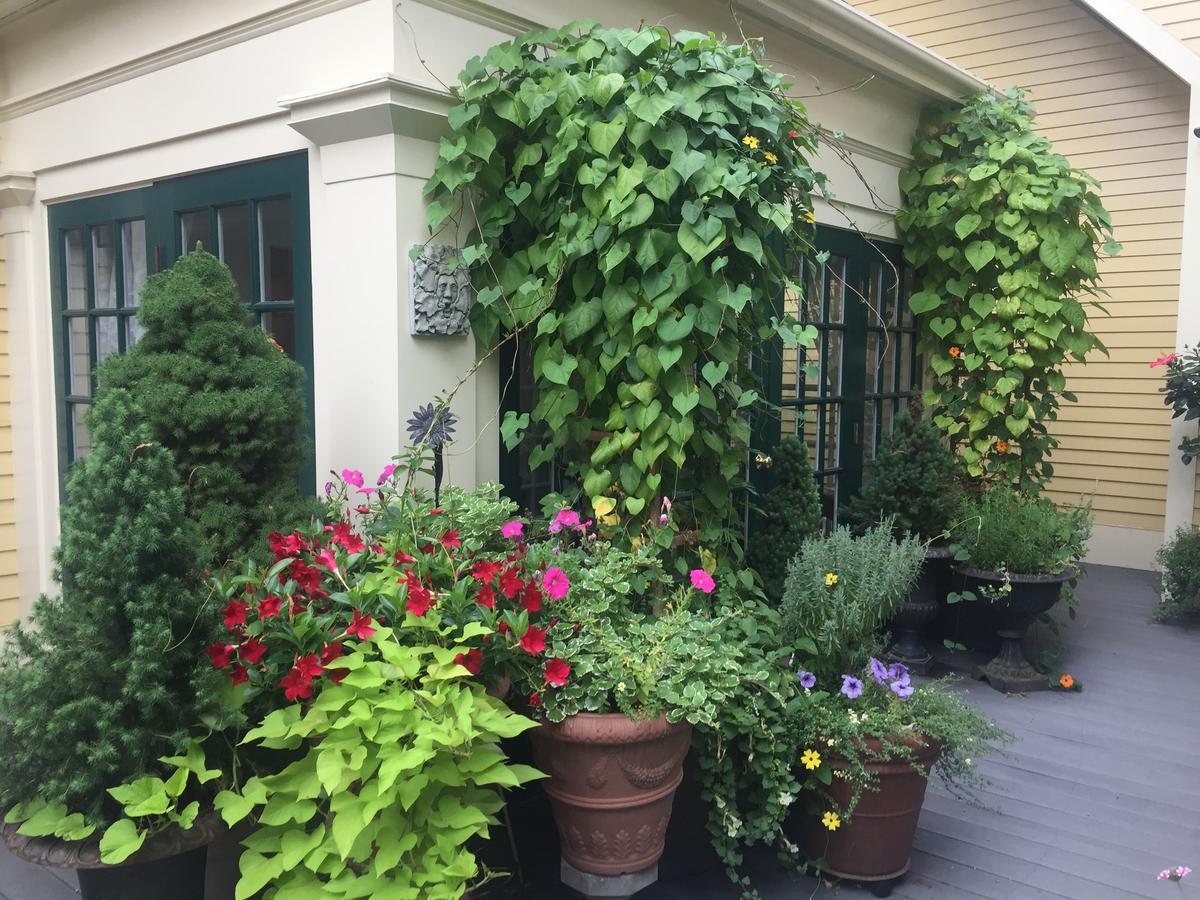 Mary Prentiss Inn Cambridge Zewnętrze zdjęcie